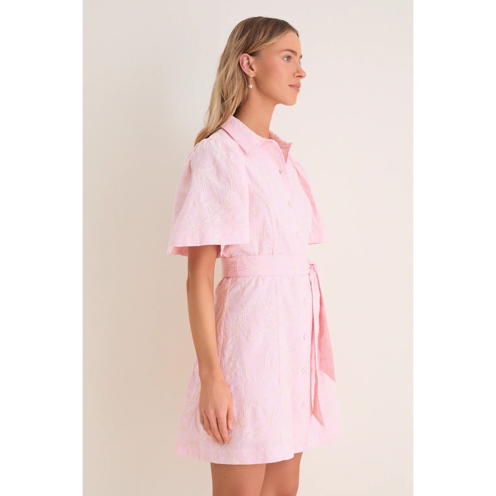 NWT Tuckernuck Hyacinth House Pink Embroidered Gingko Leaf Peppa Mini Dress L - Picture 4 of 11